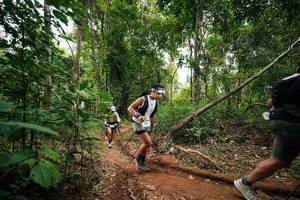 BIB: 
                            <button type="button" onclick="openModal(26812869)" class="btn btn-primary btn-sm float-right btn-popup" data-toggle="modal" data-target=".modal-high-quality">
                        <i class="fas fa-shopping-cart"></i> Add to Cart
                    </button>
                                            <button type="button" onclick="isThisMe(26812869, true)" class="btn btn-success btn-sm float-right btn-popup btn-isme hidden" data-toggle="tooltip" data-placement="bottom" title="นี่คือรูปของคุณใช่ไหม คลิกที่นี่เพื่อเอาเข้าอัลบั้ม">
                        <i class="fas fa-plus"></i> Add to album
                    </button>
                    <button type="button" onclick="isThisMe(26812869, false)" class="btn btn-warning btn-sm float-right btn-popup btn-isnotme hidden">
                        <i class="fas fa-ban"></i> Remove from album
                    </button>