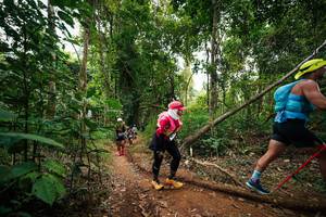 BIB: 
                            <button type="button" onclick="openModal(26810796)" class="btn btn-primary btn-sm float-right btn-popup" data-toggle="modal" data-target=".modal-high-quality">
                        <i class="fas fa-shopping-cart"></i> Add to Cart
                    </button>
                                            <button type="button" onclick="isThisMe(26810796, true)" class="btn btn-success btn-sm float-right btn-popup btn-isme hidden" data-toggle="tooltip" data-placement="bottom" title="นี่คือรูปของคุณใช่ไหม คลิกที่นี่เพื่อเอาเข้าอัลบั้ม">
                        <i class="fas fa-plus"></i> Add to album
                    </button>
                    <button type="button" onclick="isThisMe(26810796, false)" class="btn btn-warning btn-sm float-right btn-popup btn-isnotme hidden">
                        <i class="fas fa-ban"></i> Remove from album
                    </button>