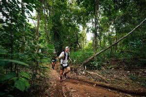 BIB: 
                            <button type="button" onclick="openModal(26809332)" class="btn btn-primary btn-sm float-right btn-popup" data-toggle="modal" data-target=".modal-high-quality">
                        <i class="fas fa-shopping-cart"></i> Add to Cart
                    </button>
                                            <button type="button" onclick="isThisMe(26809332, true)" class="btn btn-success btn-sm float-right btn-popup btn-isme hidden" data-toggle="tooltip" data-placement="bottom" title="นี่คือรูปของคุณใช่ไหม คลิกที่นี่เพื่อเอาเข้าอัลบั้ม">
                        <i class="fas fa-plus"></i> Add to album
                    </button>
                    <button type="button" onclick="isThisMe(26809332, false)" class="btn btn-warning btn-sm float-right btn-popup btn-isnotme hidden">
                        <i class="fas fa-ban"></i> Remove from album
                    </button>