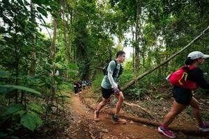 BIB: 
                            <button type="button" onclick="openModal(26813309)" class="btn btn-primary btn-sm float-right btn-popup" data-toggle="modal" data-target=".modal-high-quality">
                        <i class="fas fa-shopping-cart"></i> Add to Cart
                    </button>
                                            <button type="button" onclick="isThisMe(26813309, true)" class="btn btn-success btn-sm float-right btn-popup btn-isme hidden" data-toggle="tooltip" data-placement="bottom" title="นี่คือรูปของคุณใช่ไหม คลิกที่นี่เพื่อเอาเข้าอัลบั้ม">
                        <i class="fas fa-plus"></i> Add to album
                    </button>
                    <button type="button" onclick="isThisMe(26813309, false)" class="btn btn-warning btn-sm float-right btn-popup btn-isnotme hidden">
                        <i class="fas fa-ban"></i> Remove from album
                    </button>