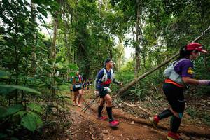 BIB: 
                            <button type="button" onclick="openModal(26812990)" class="btn btn-primary btn-sm float-right btn-popup" data-toggle="modal" data-target=".modal-high-quality">
                        <i class="fas fa-shopping-cart"></i> Add to Cart
                    </button>
                                            <button type="button" onclick="isThisMe(26812990, true)" class="btn btn-success btn-sm float-right btn-popup btn-isme hidden" data-toggle="tooltip" data-placement="bottom" title="นี่คือรูปของคุณใช่ไหม คลิกที่นี่เพื่อเอาเข้าอัลบั้ม">
                        <i class="fas fa-plus"></i> Add to album
                    </button>
                    <button type="button" onclick="isThisMe(26812990, false)" class="btn btn-warning btn-sm float-right btn-popup btn-isnotme hidden">
                        <i class="fas fa-ban"></i> Remove from album
                    </button>