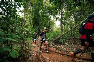 BIB: 
                            <button type="button" onclick="openModal(26812645)" class="btn btn-primary btn-sm float-right btn-popup" data-toggle="modal" data-target=".modal-high-quality">
                        <i class="fas fa-shopping-cart"></i> Add to Cart
                    </button>
                                            <button type="button" onclick="isThisMe(26812645, true)" class="btn btn-success btn-sm float-right btn-popup btn-isme hidden" data-toggle="tooltip" data-placement="bottom" title="นี่คือรูปของคุณใช่ไหม คลิกที่นี่เพื่อเอาเข้าอัลบั้ม">
                        <i class="fas fa-plus"></i> Add to album
                    </button>
                    <button type="button" onclick="isThisMe(26812645, false)" class="btn btn-warning btn-sm float-right btn-popup btn-isnotme hidden">
                        <i class="fas fa-ban"></i> Remove from album
                    </button>