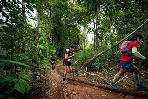 BIB: 
                            <button type="button" onclick="openModal(26810235)" class="btn btn-primary btn-sm float-right btn-popup" data-toggle="modal" data-target=".modal-high-quality">
                        <i class="fas fa-shopping-cart"></i> Add to Cart
                    </button>
                                            <button type="button" onclick="isThisMe(26810235, true)" class="btn btn-success btn-sm float-right btn-popup btn-isme hidden" data-toggle="tooltip" data-placement="bottom" title="นี่คือรูปของคุณใช่ไหม คลิกที่นี่เพื่อเอาเข้าอัลบั้ม">
                        <i class="fas fa-plus"></i> Add to album
                    </button>
                    <button type="button" onclick="isThisMe(26810235, false)" class="btn btn-warning btn-sm float-right btn-popup btn-isnotme hidden">
                        <i class="fas fa-ban"></i> Remove from album
                    </button>