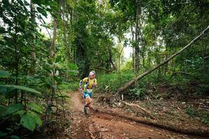 BIB: 
                            <button type="button" onclick="openModal(26808724)" class="btn btn-primary btn-sm float-right btn-popup" data-toggle="modal" data-target=".modal-high-quality">
                        <i class="fas fa-shopping-cart"></i> Add to Cart
                    </button>
                                            <button type="button" onclick="isThisMe(26808724, true)" class="btn btn-success btn-sm float-right btn-popup btn-isme hidden" data-toggle="tooltip" data-placement="bottom" title="นี่คือรูปของคุณใช่ไหม คลิกที่นี่เพื่อเอาเข้าอัลบั้ม">
                        <i class="fas fa-plus"></i> Add to album
                    </button>
                    <button type="button" onclick="isThisMe(26808724, false)" class="btn btn-warning btn-sm float-right btn-popup btn-isnotme hidden">
                        <i class="fas fa-ban"></i> Remove from album
                    </button>