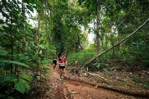 BIB: 
                            <button type="button" onclick="openModal(26808842)" class="btn btn-primary btn-sm float-right btn-popup" data-toggle="modal" data-target=".modal-high-quality">
                        <i class="fas fa-shopping-cart"></i> Add to Cart
                    </button>
                                            <button type="button" onclick="isThisMe(26808842, true)" class="btn btn-success btn-sm float-right btn-popup btn-isme hidden" data-toggle="tooltip" data-placement="bottom" title="นี่คือรูปของคุณใช่ไหม คลิกที่นี่เพื่อเอาเข้าอัลบั้ม">
                        <i class="fas fa-plus"></i> Add to album
                    </button>
                    <button type="button" onclick="isThisMe(26808842, false)" class="btn btn-warning btn-sm float-right btn-popup btn-isnotme hidden">
                        <i class="fas fa-ban"></i> Remove from album
                    </button>