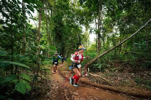 BIB: 
                            <button type="button" onclick="openModal(26811491)" class="btn btn-primary btn-sm float-right btn-popup" data-toggle="modal" data-target=".modal-high-quality">
                        <i class="fas fa-shopping-cart"></i> Add to Cart
                    </button>
                                            <button type="button" onclick="isThisMe(26811491, true)" class="btn btn-success btn-sm float-right btn-popup btn-isme hidden" data-toggle="tooltip" data-placement="bottom" title="นี่คือรูปของคุณใช่ไหม คลิกที่นี่เพื่อเอาเข้าอัลบั้ม">
                        <i class="fas fa-plus"></i> Add to album
                    </button>
                    <button type="button" onclick="isThisMe(26811491, false)" class="btn btn-warning btn-sm float-right btn-popup btn-isnotme hidden">
                        <i class="fas fa-ban"></i> Remove from album
                    </button>