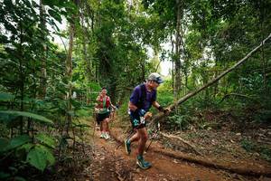 BIB: 
                            <button type="button" onclick="openModal(26812116)" class="btn btn-primary btn-sm float-right btn-popup" data-toggle="modal" data-target=".modal-high-quality">
                        <i class="fas fa-shopping-cart"></i> Add to Cart
                    </button>
                                            <button type="button" onclick="isThisMe(26812116, true)" class="btn btn-success btn-sm float-right btn-popup btn-isme hidden" data-toggle="tooltip" data-placement="bottom" title="นี่คือรูปของคุณใช่ไหม คลิกที่นี่เพื่อเอาเข้าอัลบั้ม">
                        <i class="fas fa-plus"></i> Add to album
                    </button>
                    <button type="button" onclick="isThisMe(26812116, false)" class="btn btn-warning btn-sm float-right btn-popup btn-isnotme hidden">
                        <i class="fas fa-ban"></i> Remove from album
                    </button>