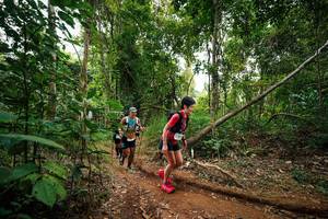 BIB: 
                            <button type="button" onclick="openModal(26811996)" class="btn btn-primary btn-sm float-right btn-popup" data-toggle="modal" data-target=".modal-high-quality">
                        <i class="fas fa-shopping-cart"></i> Add to Cart
                    </button>
                                            <button type="button" onclick="isThisMe(26811996, true)" class="btn btn-success btn-sm float-right btn-popup btn-isme hidden" data-toggle="tooltip" data-placement="bottom" title="นี่คือรูปของคุณใช่ไหม คลิกที่นี่เพื่อเอาเข้าอัลบั้ม">
                        <i class="fas fa-plus"></i> Add to album
                    </button>
                    <button type="button" onclick="isThisMe(26811996, false)" class="btn btn-warning btn-sm float-right btn-popup btn-isnotme hidden">
                        <i class="fas fa-ban"></i> Remove from album
                    </button>