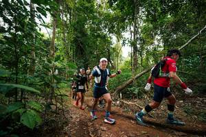 BIB: 
                            <button type="button" onclick="openModal(26810378)" class="btn btn-primary btn-sm float-right btn-popup" data-toggle="modal" data-target=".modal-high-quality">
                        <i class="fas fa-shopping-cart"></i> Add to Cart
                    </button>
                                            <button type="button" onclick="isThisMe(26810378, true)" class="btn btn-success btn-sm float-right btn-popup btn-isme hidden" data-toggle="tooltip" data-placement="bottom" title="นี่คือรูปของคุณใช่ไหม คลิกที่นี่เพื่อเอาเข้าอัลบั้ม">
                        <i class="fas fa-plus"></i> Add to album
                    </button>
                    <button type="button" onclick="isThisMe(26810378, false)" class="btn btn-warning btn-sm float-right btn-popup btn-isnotme hidden">
                        <i class="fas fa-ban"></i> Remove from album
                    </button>