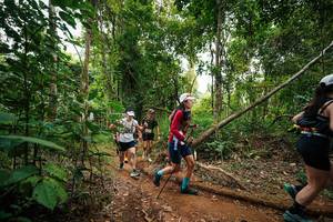 BIB: 
                            <button type="button" onclick="openModal(26812254)" class="btn btn-primary btn-sm float-right btn-popup" data-toggle="modal" data-target=".modal-high-quality">
                        <i class="fas fa-shopping-cart"></i> Add to Cart
                    </button>
                                            <button type="button" onclick="isThisMe(26812254, true)" class="btn btn-success btn-sm float-right btn-popup btn-isme hidden" data-toggle="tooltip" data-placement="bottom" title="นี่คือรูปของคุณใช่ไหม คลิกที่นี่เพื่อเอาเข้าอัลบั้ม">
                        <i class="fas fa-plus"></i> Add to album
                    </button>
                    <button type="button" onclick="isThisMe(26812254, false)" class="btn btn-warning btn-sm float-right btn-popup btn-isnotme hidden">
                        <i class="fas fa-ban"></i> Remove from album
                    </button>