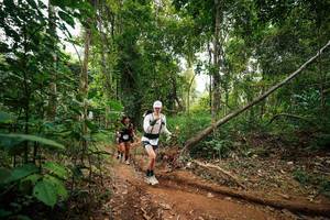 BIB: 
                            <button type="button" onclick="openModal(26812870)" class="btn btn-primary btn-sm float-right btn-popup" data-toggle="modal" data-target=".modal-high-quality">
                        <i class="fas fa-shopping-cart"></i> Add to Cart
                    </button>
                                            <button type="button" onclick="isThisMe(26812870, true)" class="btn btn-success btn-sm float-right btn-popup btn-isme hidden" data-toggle="tooltip" data-placement="bottom" title="นี่คือรูปของคุณใช่ไหม คลิกที่นี่เพื่อเอาเข้าอัลบั้ม">
                        <i class="fas fa-plus"></i> Add to album
                    </button>
                    <button type="button" onclick="isThisMe(26812870, false)" class="btn btn-warning btn-sm float-right btn-popup btn-isnotme hidden">
                        <i class="fas fa-ban"></i> Remove from album
                    </button>