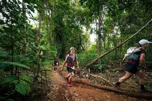 BIB: 
                            <button type="button" onclick="openModal(26810600)" class="btn btn-primary btn-sm float-right btn-popup" data-toggle="modal" data-target=".modal-high-quality">
                        <i class="fas fa-shopping-cart"></i> Add to Cart
                    </button>
                                            <button type="button" onclick="isThisMe(26810600, true)" class="btn btn-success btn-sm float-right btn-popup btn-isme hidden" data-toggle="tooltip" data-placement="bottom" title="นี่คือรูปของคุณใช่ไหม คลิกที่นี่เพื่อเอาเข้าอัลบั้ม">
                        <i class="fas fa-plus"></i> Add to album
                    </button>
                    <button type="button" onclick="isThisMe(26810600, false)" class="btn btn-warning btn-sm float-right btn-popup btn-isnotme hidden">
                        <i class="fas fa-ban"></i> Remove from album
                    </button>