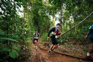 BIB: 
                            <button type="button" onclick="openModal(26812717)" class="btn btn-primary btn-sm float-right btn-popup" data-toggle="modal" data-target=".modal-high-quality">
                        <i class="fas fa-shopping-cart"></i> Add to Cart
                    </button>
                                            <button type="button" onclick="isThisMe(26812717, true)" class="btn btn-success btn-sm float-right btn-popup btn-isme hidden" data-toggle="tooltip" data-placement="bottom" title="นี่คือรูปของคุณใช่ไหม คลิกที่นี่เพื่อเอาเข้าอัลบั้ม">
                        <i class="fas fa-plus"></i> Add to album
                    </button>
                    <button type="button" onclick="isThisMe(26812717, false)" class="btn btn-warning btn-sm float-right btn-popup btn-isnotme hidden">
                        <i class="fas fa-ban"></i> Remove from album
                    </button>