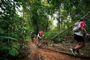 BIB: 
                            <button type="button" onclick="openModal(26810228)" class="btn btn-primary btn-sm float-right btn-popup" data-toggle="modal" data-target=".modal-high-quality">
                        <i class="fas fa-shopping-cart"></i> Add to Cart
                    </button>
                                            <button type="button" onclick="isThisMe(26810228, true)" class="btn btn-success btn-sm float-right btn-popup btn-isme hidden" data-toggle="tooltip" data-placement="bottom" title="นี่คือรูปของคุณใช่ไหม คลิกที่นี่เพื่อเอาเข้าอัลบั้ม">
                        <i class="fas fa-plus"></i> Add to album
                    </button>
                    <button type="button" onclick="isThisMe(26810228, false)" class="btn btn-warning btn-sm float-right btn-popup btn-isnotme hidden">
                        <i class="fas fa-ban"></i> Remove from album
                    </button>