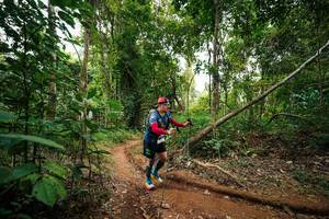 BIB: 
                            <button type="button" onclick="openModal(26813516)" class="btn btn-primary btn-sm float-right btn-popup" data-toggle="modal" data-target=".modal-high-quality">
                        <i class="fas fa-shopping-cart"></i> Add to Cart
                    </button>
                                            <button type="button" onclick="isThisMe(26813516, true)" class="btn btn-success btn-sm float-right btn-popup btn-isme hidden" data-toggle="tooltip" data-placement="bottom" title="นี่คือรูปของคุณใช่ไหม คลิกที่นี่เพื่อเอาเข้าอัลบั้ม">
                        <i class="fas fa-plus"></i> Add to album
                    </button>
                    <button type="button" onclick="isThisMe(26813516, false)" class="btn btn-warning btn-sm float-right btn-popup btn-isnotme hidden">
                        <i class="fas fa-ban"></i> Remove from album
                    </button>