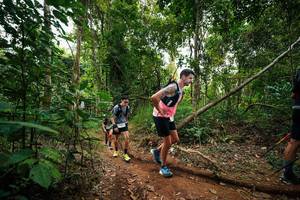 BIB: 
                            <button type="button" onclick="openModal(26810496)" class="btn btn-primary btn-sm float-right btn-popup" data-toggle="modal" data-target=".modal-high-quality">
                        <i class="fas fa-shopping-cart"></i> Add to Cart
                    </button>
                                            <button type="button" onclick="isThisMe(26810496, true)" class="btn btn-success btn-sm float-right btn-popup btn-isme hidden" data-toggle="tooltip" data-placement="bottom" title="นี่คือรูปของคุณใช่ไหม คลิกที่นี่เพื่อเอาเข้าอัลบั้ม">
                        <i class="fas fa-plus"></i> Add to album
                    </button>
                    <button type="button" onclick="isThisMe(26810496, false)" class="btn btn-warning btn-sm float-right btn-popup btn-isnotme hidden">
                        <i class="fas fa-ban"></i> Remove from album
                    </button>