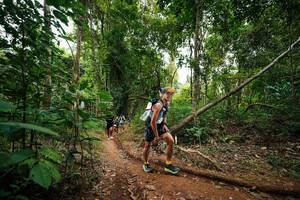 BIB: 
                            <button type="button" onclick="openModal(26810961)" class="btn btn-primary btn-sm float-right btn-popup" data-toggle="modal" data-target=".modal-high-quality">
                        <i class="fas fa-shopping-cart"></i> Add to Cart
                    </button>
                                            <button type="button" onclick="isThisMe(26810961, true)" class="btn btn-success btn-sm float-right btn-popup btn-isme hidden" data-toggle="tooltip" data-placement="bottom" title="นี่คือรูปของคุณใช่ไหม คลิกที่นี่เพื่อเอาเข้าอัลบั้ม">
                        <i class="fas fa-plus"></i> Add to album
                    </button>
                    <button type="button" onclick="isThisMe(26810961, false)" class="btn btn-warning btn-sm float-right btn-popup btn-isnotme hidden">
                        <i class="fas fa-ban"></i> Remove from album
                    </button>