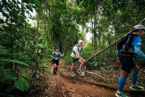 BIB: 
                            <button type="button" onclick="openModal(26811178)" class="btn btn-primary btn-sm float-right btn-popup" data-toggle="modal" data-target=".modal-high-quality">
                        <i class="fas fa-shopping-cart"></i> Add to Cart
                    </button>
                                            <button type="button" onclick="isThisMe(26811178, true)" class="btn btn-success btn-sm float-right btn-popup btn-isme hidden" data-toggle="tooltip" data-placement="bottom" title="นี่คือรูปของคุณใช่ไหม คลิกที่นี่เพื่อเอาเข้าอัลบั้ม">
                        <i class="fas fa-plus"></i> Add to album
                    </button>
                    <button type="button" onclick="isThisMe(26811178, false)" class="btn btn-warning btn-sm float-right btn-popup btn-isnotme hidden">
                        <i class="fas fa-ban"></i> Remove from album
                    </button>