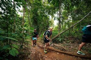 BIB: 
                            <button type="button" onclick="openModal(26812972)" class="btn btn-primary btn-sm float-right btn-popup" data-toggle="modal" data-target=".modal-high-quality">
                        <i class="fas fa-shopping-cart"></i> Add to Cart
                    </button>
                                            <button type="button" onclick="isThisMe(26812972, true)" class="btn btn-success btn-sm float-right btn-popup btn-isme hidden" data-toggle="tooltip" data-placement="bottom" title="นี่คือรูปของคุณใช่ไหม คลิกที่นี่เพื่อเอาเข้าอัลบั้ม">
                        <i class="fas fa-plus"></i> Add to album
                    </button>
                    <button type="button" onclick="isThisMe(26812972, false)" class="btn btn-warning btn-sm float-right btn-popup btn-isnotme hidden">
                        <i class="fas fa-ban"></i> Remove from album
                    </button>