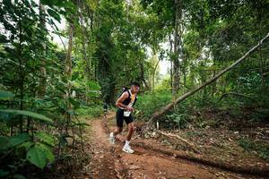 BIB: 
                            <button type="button" onclick="openModal(26808861)" class="btn btn-primary btn-sm float-right btn-popup" data-toggle="modal" data-target=".modal-high-quality">
                        <i class="fas fa-shopping-cart"></i> Add to Cart
                    </button>
                                            <button type="button" onclick="isThisMe(26808861, true)" class="btn btn-success btn-sm float-right btn-popup btn-isme hidden" data-toggle="tooltip" data-placement="bottom" title="นี่คือรูปของคุณใช่ไหม คลิกที่นี่เพื่อเอาเข้าอัลบั้ม">
                        <i class="fas fa-plus"></i> Add to album
                    </button>
                    <button type="button" onclick="isThisMe(26808861, false)" class="btn btn-warning btn-sm float-right btn-popup btn-isnotme hidden">
                        <i class="fas fa-ban"></i> Remove from album
                    </button>