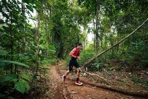 BIB: 
                            <button type="button" onclick="openModal(26808746)" class="btn btn-primary btn-sm float-right btn-popup" data-toggle="modal" data-target=".modal-high-quality">
                        <i class="fas fa-shopping-cart"></i> Add to Cart
                    </button>
                                            <button type="button" onclick="isThisMe(26808746, true)" class="btn btn-success btn-sm float-right btn-popup btn-isme hidden" data-toggle="tooltip" data-placement="bottom" title="นี่คือรูปของคุณใช่ไหม คลิกที่นี่เพื่อเอาเข้าอัลบั้ม">
                        <i class="fas fa-plus"></i> Add to album
                    </button>
                    <button type="button" onclick="isThisMe(26808746, false)" class="btn btn-warning btn-sm float-right btn-popup btn-isnotme hidden">
                        <i class="fas fa-ban"></i> Remove from album
                    </button>