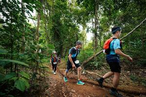 BIB: 
                            <button type="button" onclick="openModal(26812270)" class="btn btn-primary btn-sm float-right btn-popup" data-toggle="modal" data-target=".modal-high-quality">
                        <i class="fas fa-shopping-cart"></i> Add to Cart
                    </button>
                                            <button type="button" onclick="isThisMe(26812270, true)" class="btn btn-success btn-sm float-right btn-popup btn-isme hidden" data-toggle="tooltip" data-placement="bottom" title="นี่คือรูปของคุณใช่ไหม คลิกที่นี่เพื่อเอาเข้าอัลบั้ม">
                        <i class="fas fa-plus"></i> Add to album
                    </button>
                    <button type="button" onclick="isThisMe(26812270, false)" class="btn btn-warning btn-sm float-right btn-popup btn-isnotme hidden">
                        <i class="fas fa-ban"></i> Remove from album
                    </button>