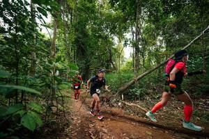 BIB: 
                            <button type="button" onclick="openModal(26810639)" class="btn btn-primary btn-sm float-right btn-popup" data-toggle="modal" data-target=".modal-high-quality">
                        <i class="fas fa-shopping-cart"></i> Add to Cart
                    </button>
                                            <button type="button" onclick="isThisMe(26810639, true)" class="btn btn-success btn-sm float-right btn-popup btn-isme hidden" data-toggle="tooltip" data-placement="bottom" title="นี่คือรูปของคุณใช่ไหม คลิกที่นี่เพื่อเอาเข้าอัลบั้ม">
                        <i class="fas fa-plus"></i> Add to album
                    </button>
                    <button type="button" onclick="isThisMe(26810639, false)" class="btn btn-warning btn-sm float-right btn-popup btn-isnotme hidden">
                        <i class="fas fa-ban"></i> Remove from album
                    </button>