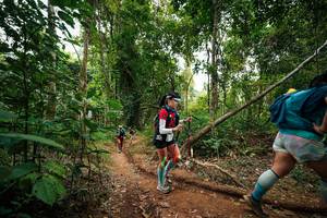 BIB: 
                            <button type="button" onclick="openModal(26810877)" class="btn btn-primary btn-sm float-right btn-popup" data-toggle="modal" data-target=".modal-high-quality">
                        <i class="fas fa-shopping-cart"></i> Add to Cart
                    </button>
                                            <button type="button" onclick="isThisMe(26810877, true)" class="btn btn-success btn-sm float-right btn-popup btn-isme hidden" data-toggle="tooltip" data-placement="bottom" title="นี่คือรูปของคุณใช่ไหม คลิกที่นี่เพื่อเอาเข้าอัลบั้ม">
                        <i class="fas fa-plus"></i> Add to album
                    </button>
                    <button type="button" onclick="isThisMe(26810877, false)" class="btn btn-warning btn-sm float-right btn-popup btn-isnotme hidden">
                        <i class="fas fa-ban"></i> Remove from album
                    </button>