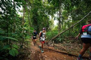 BIB: 
                            <button type="button" onclick="openModal(26810556)" class="btn btn-primary btn-sm float-right btn-popup" data-toggle="modal" data-target=".modal-high-quality">
                        <i class="fas fa-shopping-cart"></i> Add to Cart
                    </button>
                                            <button type="button" onclick="isThisMe(26810556, true)" class="btn btn-success btn-sm float-right btn-popup btn-isme hidden" data-toggle="tooltip" data-placement="bottom" title="นี่คือรูปของคุณใช่ไหม คลิกที่นี่เพื่อเอาเข้าอัลบั้ม">
                        <i class="fas fa-plus"></i> Add to album
                    </button>
                    <button type="button" onclick="isThisMe(26810556, false)" class="btn btn-warning btn-sm float-right btn-popup btn-isnotme hidden">
                        <i class="fas fa-ban"></i> Remove from album
                    </button>