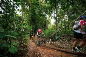 BIB: 
                            <button type="button" onclick="openModal(26810230)" class="btn btn-primary btn-sm float-right btn-popup" data-toggle="modal" data-target=".modal-high-quality">
                        <i class="fas fa-shopping-cart"></i> Add to Cart
                    </button>
                                            <button type="button" onclick="isThisMe(26810230, true)" class="btn btn-success btn-sm float-right btn-popup btn-isme hidden" data-toggle="tooltip" data-placement="bottom" title="นี่คือรูปของคุณใช่ไหม คลิกที่นี่เพื่อเอาเข้าอัลบั้ม">
                        <i class="fas fa-plus"></i> Add to album
                    </button>
                    <button type="button" onclick="isThisMe(26810230, false)" class="btn btn-warning btn-sm float-right btn-popup btn-isnotme hidden">
                        <i class="fas fa-ban"></i> Remove from album
                    </button>