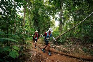 BIB: 
                            <button type="button" onclick="openModal(26813446)" class="btn btn-primary btn-sm float-right btn-popup" data-toggle="modal" data-target=".modal-high-quality">
                        <i class="fas fa-shopping-cart"></i> Add to Cart
                    </button>
                                            <button type="button" onclick="isThisMe(26813446, true)" class="btn btn-success btn-sm float-right btn-popup btn-isme hidden" data-toggle="tooltip" data-placement="bottom" title="นี่คือรูปของคุณใช่ไหม คลิกที่นี่เพื่อเอาเข้าอัลบั้ม">
                        <i class="fas fa-plus"></i> Add to album
                    </button>
                    <button type="button" onclick="isThisMe(26813446, false)" class="btn btn-warning btn-sm float-right btn-popup btn-isnotme hidden">
                        <i class="fas fa-ban"></i> Remove from album
                    </button>