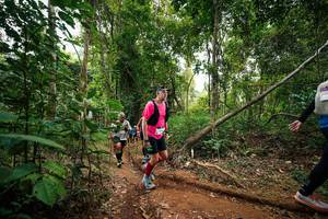 BIB: 
                            <button type="button" onclick="openModal(26812131)" class="btn btn-primary btn-sm float-right btn-popup" data-toggle="modal" data-target=".modal-high-quality">
                        <i class="fas fa-shopping-cart"></i> Add to Cart
                    </button>
                                            <button type="button" onclick="isThisMe(26812131, true)" class="btn btn-success btn-sm float-right btn-popup btn-isme hidden" data-toggle="tooltip" data-placement="bottom" title="นี่คือรูปของคุณใช่ไหม คลิกที่นี่เพื่อเอาเข้าอัลบั้ม">
                        <i class="fas fa-plus"></i> Add to album
                    </button>
                    <button type="button" onclick="isThisMe(26812131, false)" class="btn btn-warning btn-sm float-right btn-popup btn-isnotme hidden">
                        <i class="fas fa-ban"></i> Remove from album
                    </button>