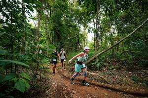 BIB: 
                            <button type="button" onclick="openModal(26810778)" class="btn btn-primary btn-sm float-right btn-popup" data-toggle="modal" data-target=".modal-high-quality">
                        <i class="fas fa-shopping-cart"></i> Add to Cart
                    </button>
                                            <button type="button" onclick="isThisMe(26810778, true)" class="btn btn-success btn-sm float-right btn-popup btn-isme hidden" data-toggle="tooltip" data-placement="bottom" title="นี่คือรูปของคุณใช่ไหม คลิกที่นี่เพื่อเอาเข้าอัลบั้ม">
                        <i class="fas fa-plus"></i> Add to album
                    </button>
                    <button type="button" onclick="isThisMe(26810778, false)" class="btn btn-warning btn-sm float-right btn-popup btn-isnotme hidden">
                        <i class="fas fa-ban"></i> Remove from album
                    </button>