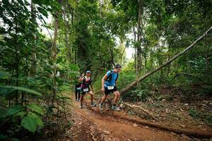 BIB: 
                            <button type="button" onclick="openModal(26812824)" class="btn btn-primary btn-sm float-right btn-popup" data-toggle="modal" data-target=".modal-high-quality">
                        <i class="fas fa-shopping-cart"></i> Add to Cart
                    </button>
                                            <button type="button" onclick="isThisMe(26812824, true)" class="btn btn-success btn-sm float-right btn-popup btn-isme hidden" data-toggle="tooltip" data-placement="bottom" title="นี่คือรูปของคุณใช่ไหม คลิกที่นี่เพื่อเอาเข้าอัลบั้ม">
                        <i class="fas fa-plus"></i> Add to album
                    </button>
                    <button type="button" onclick="isThisMe(26812824, false)" class="btn btn-warning btn-sm float-right btn-popup btn-isnotme hidden">
                        <i class="fas fa-ban"></i> Remove from album
                    </button>