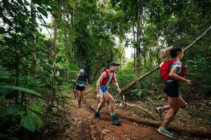 BIB: 
                            <button type="button" onclick="openModal(26809893)" class="btn btn-primary btn-sm float-right btn-popup" data-toggle="modal" data-target=".modal-high-quality">
                        <i class="fas fa-shopping-cart"></i> Add to Cart
                    </button>
                                            <button type="button" onclick="isThisMe(26809893, true)" class="btn btn-success btn-sm float-right btn-popup btn-isme hidden" data-toggle="tooltip" data-placement="bottom" title="นี่คือรูปของคุณใช่ไหม คลิกที่นี่เพื่อเอาเข้าอัลบั้ม">
                        <i class="fas fa-plus"></i> Add to album
                    </button>
                    <button type="button" onclick="isThisMe(26809893, false)" class="btn btn-warning btn-sm float-right btn-popup btn-isnotme hidden">
                        <i class="fas fa-ban"></i> Remove from album
                    </button>