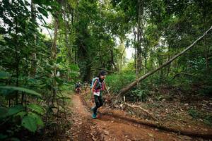 BIB: 
                            <button type="button" onclick="openModal(26810542)" class="btn btn-primary btn-sm float-right btn-popup" data-toggle="modal" data-target=".modal-high-quality">
                        <i class="fas fa-shopping-cart"></i> Add to Cart
                    </button>
                                            <button type="button" onclick="isThisMe(26810542, true)" class="btn btn-success btn-sm float-right btn-popup btn-isme hidden" data-toggle="tooltip" data-placement="bottom" title="นี่คือรูปของคุณใช่ไหม คลิกที่นี่เพื่อเอาเข้าอัลบั้ม">
                        <i class="fas fa-plus"></i> Add to album
                    </button>
                    <button type="button" onclick="isThisMe(26810542, false)" class="btn btn-warning btn-sm float-right btn-popup btn-isnotme hidden">
                        <i class="fas fa-ban"></i> Remove from album
                    </button>