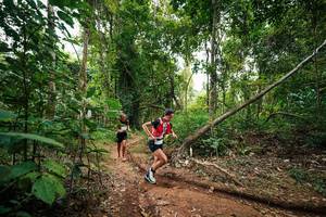 BIB: 
                            <button type="button" onclick="openModal(26808859)" class="btn btn-primary btn-sm float-right btn-popup" data-toggle="modal" data-target=".modal-high-quality">
                        <i class="fas fa-shopping-cart"></i> Add to Cart
                    </button>
                                            <button type="button" onclick="isThisMe(26808859, true)" class="btn btn-success btn-sm float-right btn-popup btn-isme hidden" data-toggle="tooltip" data-placement="bottom" title="นี่คือรูปของคุณใช่ไหม คลิกที่นี่เพื่อเอาเข้าอัลบั้ม">
                        <i class="fas fa-plus"></i> Add to album
                    </button>
                    <button type="button" onclick="isThisMe(26808859, false)" class="btn btn-warning btn-sm float-right btn-popup btn-isnotme hidden">
                        <i class="fas fa-ban"></i> Remove from album
                    </button>