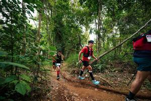 BIB: 
                            <button type="button" onclick="openModal(26812884)" class="btn btn-primary btn-sm float-right btn-popup" data-toggle="modal" data-target=".modal-high-quality">
                        <i class="fas fa-shopping-cart"></i> Add to Cart
                    </button>
                                            <button type="button" onclick="isThisMe(26812884, true)" class="btn btn-success btn-sm float-right btn-popup btn-isme hidden" data-toggle="tooltip" data-placement="bottom" title="นี่คือรูปของคุณใช่ไหม คลิกที่นี่เพื่อเอาเข้าอัลบั้ม">
                        <i class="fas fa-plus"></i> Add to album
                    </button>
                    <button type="button" onclick="isThisMe(26812884, false)" class="btn btn-warning btn-sm float-right btn-popup btn-isnotme hidden">
                        <i class="fas fa-ban"></i> Remove from album
                    </button>