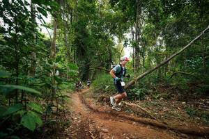 BIB: 
                            <button type="button" onclick="openModal(26811446)" class="btn btn-primary btn-sm float-right btn-popup" data-toggle="modal" data-target=".modal-high-quality">
                        <i class="fas fa-shopping-cart"></i> Add to Cart
                    </button>
                                            <button type="button" onclick="isThisMe(26811446, true)" class="btn btn-success btn-sm float-right btn-popup btn-isme hidden" data-toggle="tooltip" data-placement="bottom" title="นี่คือรูปของคุณใช่ไหม คลิกที่นี่เพื่อเอาเข้าอัลบั้ม">
                        <i class="fas fa-plus"></i> Add to album
                    </button>
                    <button type="button" onclick="isThisMe(26811446, false)" class="btn btn-warning btn-sm float-right btn-popup btn-isnotme hidden">
                        <i class="fas fa-ban"></i> Remove from album
                    </button>