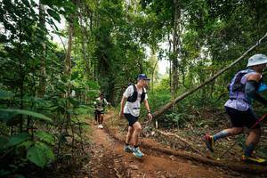 BIB: 
                            <button type="button" onclick="openModal(26811564)" class="btn btn-primary btn-sm float-right btn-popup" data-toggle="modal" data-target=".modal-high-quality">
                        <i class="fas fa-shopping-cart"></i> Add to Cart
                    </button>
                                            <button type="button" onclick="isThisMe(26811564, true)" class="btn btn-success btn-sm float-right btn-popup btn-isme hidden" data-toggle="tooltip" data-placement="bottom" title="นี่คือรูปของคุณใช่ไหม คลิกที่นี่เพื่อเอาเข้าอัลบั้ม">
                        <i class="fas fa-plus"></i> Add to album
                    </button>
                    <button type="button" onclick="isThisMe(26811564, false)" class="btn btn-warning btn-sm float-right btn-popup btn-isnotme hidden">
                        <i class="fas fa-ban"></i> Remove from album
                    </button>