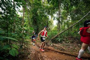 BIB: 
                            <button type="button" onclick="openModal(26812470)" class="btn btn-primary btn-sm float-right btn-popup" data-toggle="modal" data-target=".modal-high-quality">
                        <i class="fas fa-shopping-cart"></i> Add to Cart
                    </button>
                                            <button type="button" onclick="isThisMe(26812470, true)" class="btn btn-success btn-sm float-right btn-popup btn-isme hidden" data-toggle="tooltip" data-placement="bottom" title="นี่คือรูปของคุณใช่ไหม คลิกที่นี่เพื่อเอาเข้าอัลบั้ม">
                        <i class="fas fa-plus"></i> Add to album
                    </button>
                    <button type="button" onclick="isThisMe(26812470, false)" class="btn btn-warning btn-sm float-right btn-popup btn-isnotme hidden">
                        <i class="fas fa-ban"></i> Remove from album
                    </button>