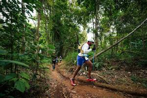 BIB: 
                            <button type="button" onclick="openModal(26811297)" class="btn btn-primary btn-sm float-right btn-popup" data-toggle="modal" data-target=".modal-high-quality">
                        <i class="fas fa-shopping-cart"></i> Add to Cart
                    </button>
                                            <button type="button" onclick="isThisMe(26811297, true)" class="btn btn-success btn-sm float-right btn-popup btn-isme hidden" data-toggle="tooltip" data-placement="bottom" title="นี่คือรูปของคุณใช่ไหม คลิกที่นี่เพื่อเอาเข้าอัลบั้ม">
                        <i class="fas fa-plus"></i> Add to album
                    </button>
                    <button type="button" onclick="isThisMe(26811297, false)" class="btn btn-warning btn-sm float-right btn-popup btn-isnotme hidden">
                        <i class="fas fa-ban"></i> Remove from album
                    </button>