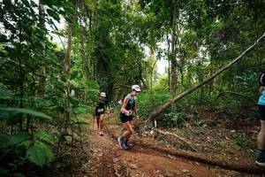 BIB: 
                            <button type="button" onclick="openModal(26810260)" class="btn btn-primary btn-sm float-right btn-popup" data-toggle="modal" data-target=".modal-high-quality">
                        <i class="fas fa-shopping-cart"></i> Add to Cart
                    </button>
                                            <button type="button" onclick="isThisMe(26810260, true)" class="btn btn-success btn-sm float-right btn-popup btn-isme hidden" data-toggle="tooltip" data-placement="bottom" title="นี่คือรูปของคุณใช่ไหม คลิกที่นี่เพื่อเอาเข้าอัลบั้ม">
                        <i class="fas fa-plus"></i> Add to album
                    </button>
                    <button type="button" onclick="isThisMe(26810260, false)" class="btn btn-warning btn-sm float-right btn-popup btn-isnotme hidden">
                        <i class="fas fa-ban"></i> Remove from album
                    </button>