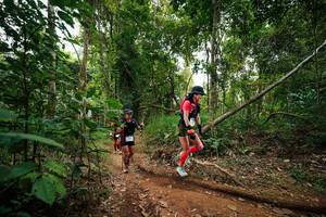 BIB: 
                            <button type="button" onclick="openModal(26810640)" class="btn btn-primary btn-sm float-right btn-popup" data-toggle="modal" data-target=".modal-high-quality">
                        <i class="fas fa-shopping-cart"></i> Add to Cart
                    </button>
                                            <button type="button" onclick="isThisMe(26810640, true)" class="btn btn-success btn-sm float-right btn-popup btn-isme hidden" data-toggle="tooltip" data-placement="bottom" title="นี่คือรูปของคุณใช่ไหม คลิกที่นี่เพื่อเอาเข้าอัลบั้ม">
                        <i class="fas fa-plus"></i> Add to album
                    </button>
                    <button type="button" onclick="isThisMe(26810640, false)" class="btn btn-warning btn-sm float-right btn-popup btn-isnotme hidden">
                        <i class="fas fa-ban"></i> Remove from album
                    </button>