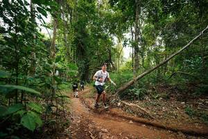 BIB: 
                            <button type="button" onclick="openModal(26813207)" class="btn btn-primary btn-sm float-right btn-popup" data-toggle="modal" data-target=".modal-high-quality">
                        <i class="fas fa-shopping-cart"></i> Add to Cart
                    </button>
                                            <button type="button" onclick="isThisMe(26813207, true)" class="btn btn-success btn-sm float-right btn-popup btn-isme hidden" data-toggle="tooltip" data-placement="bottom" title="นี่คือรูปของคุณใช่ไหม คลิกที่นี่เพื่อเอาเข้าอัลบั้ม">
                        <i class="fas fa-plus"></i> Add to album
                    </button>
                    <button type="button" onclick="isThisMe(26813207, false)" class="btn btn-warning btn-sm float-right btn-popup btn-isnotme hidden">
                        <i class="fas fa-ban"></i> Remove from album
                    </button>