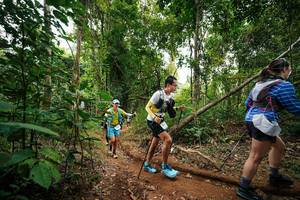 BIB: 
                            <button type="button" onclick="openModal(26813390)" class="btn btn-primary btn-sm float-right btn-popup" data-toggle="modal" data-target=".modal-high-quality">
                        <i class="fas fa-shopping-cart"></i> Add to Cart
                    </button>
                                            <button type="button" onclick="isThisMe(26813390, true)" class="btn btn-success btn-sm float-right btn-popup btn-isme hidden" data-toggle="tooltip" data-placement="bottom" title="นี่คือรูปของคุณใช่ไหม คลิกที่นี่เพื่อเอาเข้าอัลบั้ม">
                        <i class="fas fa-plus"></i> Add to album
                    </button>
                    <button type="button" onclick="isThisMe(26813390, false)" class="btn btn-warning btn-sm float-right btn-popup btn-isnotme hidden">
                        <i class="fas fa-ban"></i> Remove from album
                    </button>