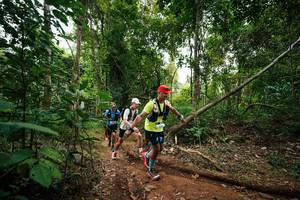 BIB: 
                            <button type="button" onclick="openModal(26809600)" class="btn btn-primary btn-sm float-right btn-popup" data-toggle="modal" data-target=".modal-high-quality">
                        <i class="fas fa-shopping-cart"></i> Add to Cart
                    </button>
                                            <button type="button" onclick="isThisMe(26809600, true)" class="btn btn-success btn-sm float-right btn-popup btn-isme hidden" data-toggle="tooltip" data-placement="bottom" title="นี่คือรูปของคุณใช่ไหม คลิกที่นี่เพื่อเอาเข้าอัลบั้ม">
                        <i class="fas fa-plus"></i> Add to album
                    </button>
                    <button type="button" onclick="isThisMe(26809600, false)" class="btn btn-warning btn-sm float-right btn-popup btn-isnotme hidden">
                        <i class="fas fa-ban"></i> Remove from album
                    </button>