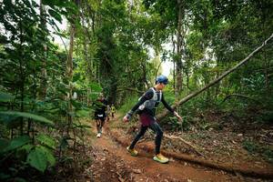 BIB: 
                            <button type="button" onclick="openModal(26813561)" class="btn btn-primary btn-sm float-right btn-popup" data-toggle="modal" data-target=".modal-high-quality">
                        <i class="fas fa-shopping-cart"></i> Add to Cart
                    </button>
                                            <button type="button" onclick="isThisMe(26813561, true)" class="btn btn-success btn-sm float-right btn-popup btn-isme hidden" data-toggle="tooltip" data-placement="bottom" title="นี่คือรูปของคุณใช่ไหม คลิกที่นี่เพื่อเอาเข้าอัลบั้ม">
                        <i class="fas fa-plus"></i> Add to album
                    </button>
                    <button type="button" onclick="isThisMe(26813561, false)" class="btn btn-warning btn-sm float-right btn-popup btn-isnotme hidden">
                        <i class="fas fa-ban"></i> Remove from album
                    </button>