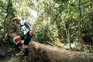 BIB: 
                            <button type="button" onclick="openModal(27488259)" class="btn btn-primary btn-sm float-right btn-popup" data-toggle="modal" data-target=".modal-high-quality">
                        <i class="fas fa-shopping-cart"></i> Add to Cart
                    </button>
                                            <button type="button" onclick="isThisMe(27488259, true)" class="btn btn-success btn-sm float-right btn-popup btn-isme hidden" data-toggle="tooltip" data-placement="bottom" title="นี่คือรูปของคุณใช่ไหม คลิกที่นี่เพื่อเอาเข้าอัลบั้ม">
                        <i class="fas fa-plus"></i> Add to album
                    </button>
                    <button type="button" onclick="isThisMe(27488259, false)" class="btn btn-warning btn-sm float-right btn-popup btn-isnotme hidden">
                        <i class="fas fa-ban"></i> Remove from album
                    </button>