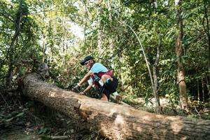 BIB: 
                            <button type="button" onclick="openModal(27487007)" class="btn btn-primary btn-sm float-right btn-popup" data-toggle="modal" data-target=".modal-high-quality">
                        <i class="fas fa-shopping-cart"></i> Add to Cart
                    </button>
                                            <button type="button" onclick="isThisMe(27487007, true)" class="btn btn-success btn-sm float-right btn-popup btn-isme hidden" data-toggle="tooltip" data-placement="bottom" title="นี่คือรูปของคุณใช่ไหม คลิกที่นี่เพื่อเอาเข้าอัลบั้ม">
                        <i class="fas fa-plus"></i> Add to album
                    </button>
                    <button type="button" onclick="isThisMe(27487007, false)" class="btn btn-warning btn-sm float-right btn-popup btn-isnotme hidden">
                        <i class="fas fa-ban"></i> Remove from album
                    </button>